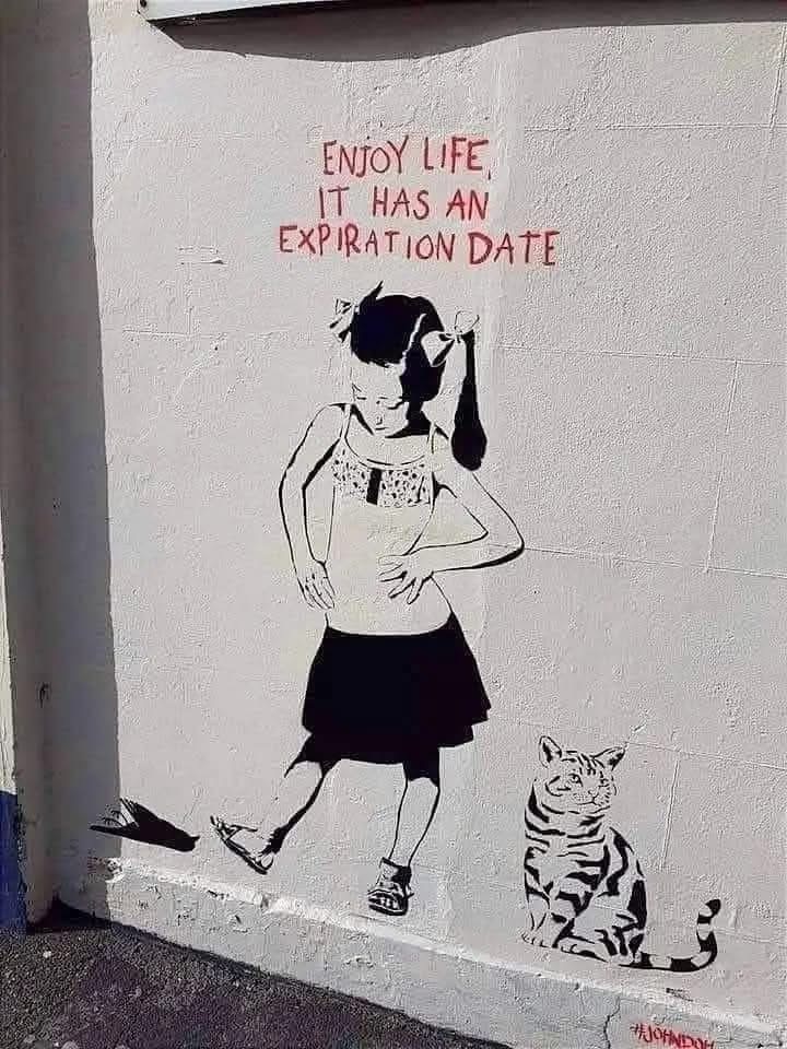 Graffiti; Text: ENJOY LIFE, IT HAS AN EXPIRATION DATE; darunter ein Bild eines sommerlich gekleideten Mädchens mit Zöpfen und einer Katze neben sich.