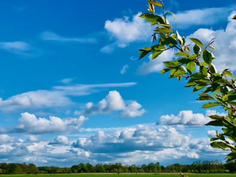 Blauer Himmel mit Wolken, am unteren Bildrand ein schmaler Streifen Wald und Wiese, am rechten Bildrand ragt von rechts unten ein Zweig schräg bis etwa zur oberen Bildmitte in den Himmel